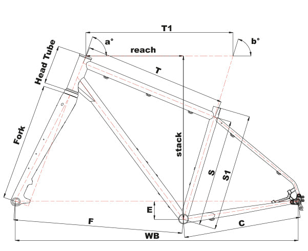 HOBOOTLEG GEO - SHIMANO GRX 2X10 MIX geometry
