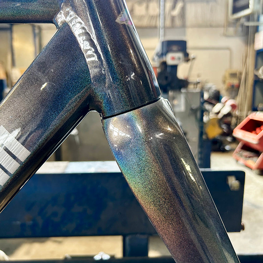 VIGORELLI - Rainbow Expo - M