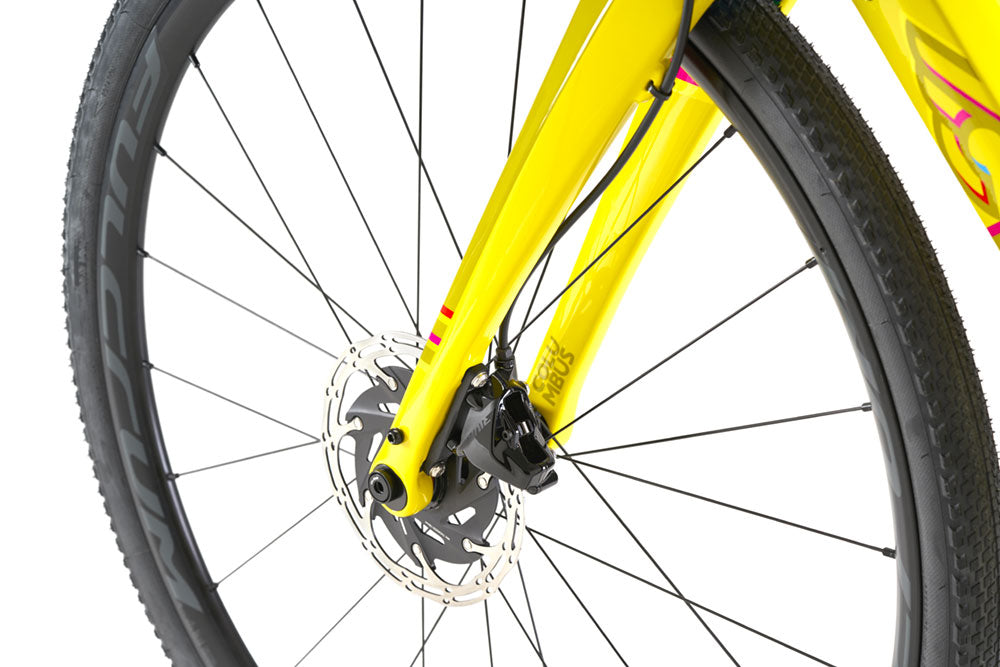 KING ZYDECO - ULTEGRA DISC – Cinelli Official