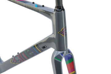 KING ZYDECO - ULTEGRA DISC – Cinelli Official