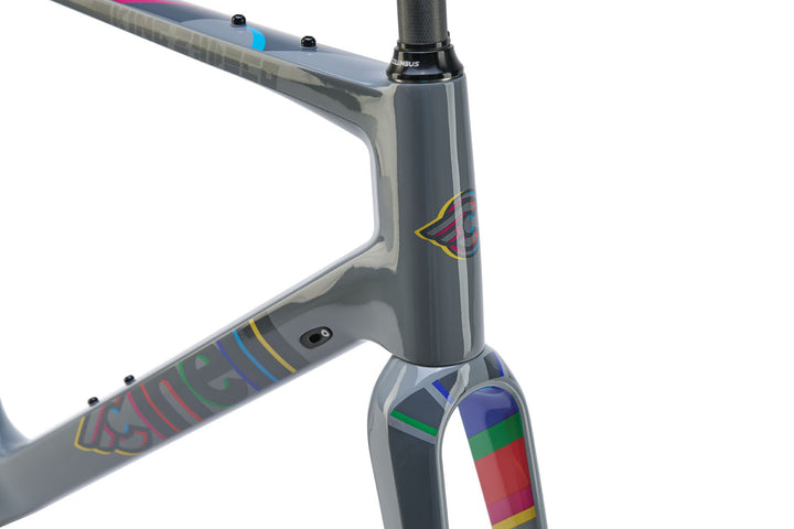 KING ZYDECO - ULTEGRA DISC – Cinelli Official