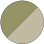 SAGE ROVER